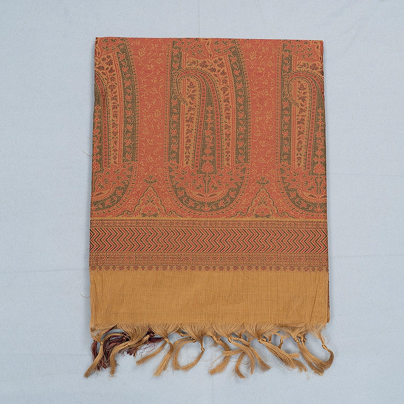 Hayagrivas Khaki Brown Handloom Kanchi Cotton Saree SSCBF132H3-2