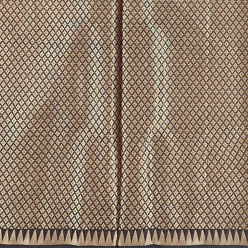 Hayagrivas Brown Fancy Cotton Saree SSCBF120H4-1