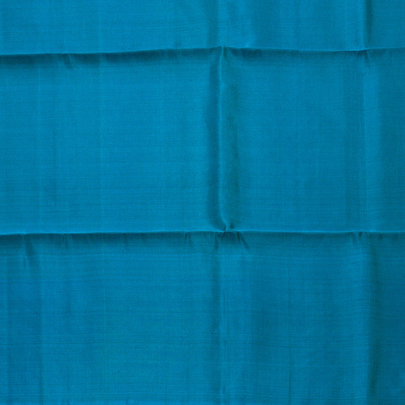 Hayagrivas Dark Brown Handloom Soft Silk Saree with Dark Sky Blue Border BBD1243K5-1