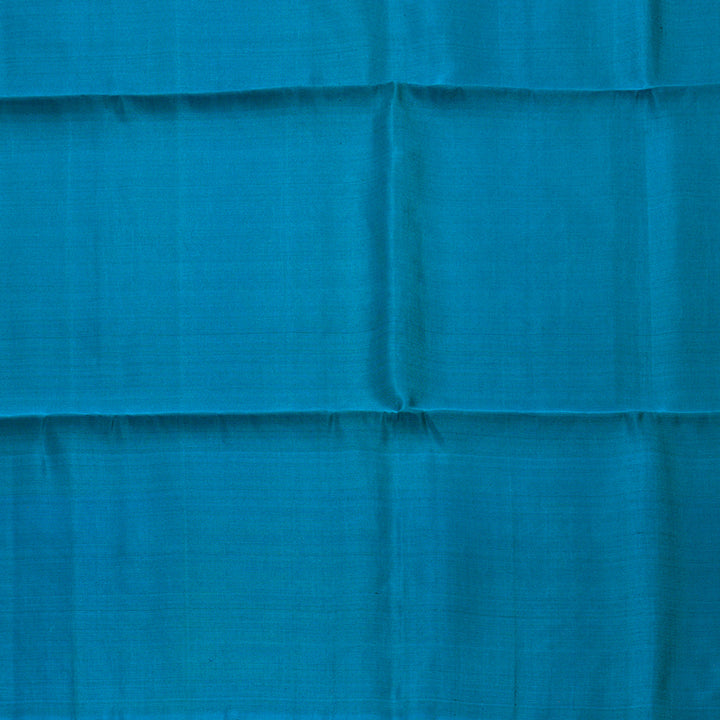 Hayagrivas Dark Brown Handloom Soft Silk Saree with Dark Sky Blue Border BBD1243K5-1