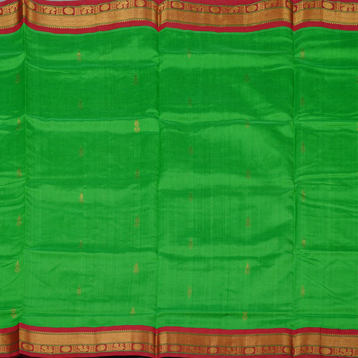 Hayagrivas Handloom Korvai Silk Cotton Saree in striking vibrant parrot green BBD1409L2-51
