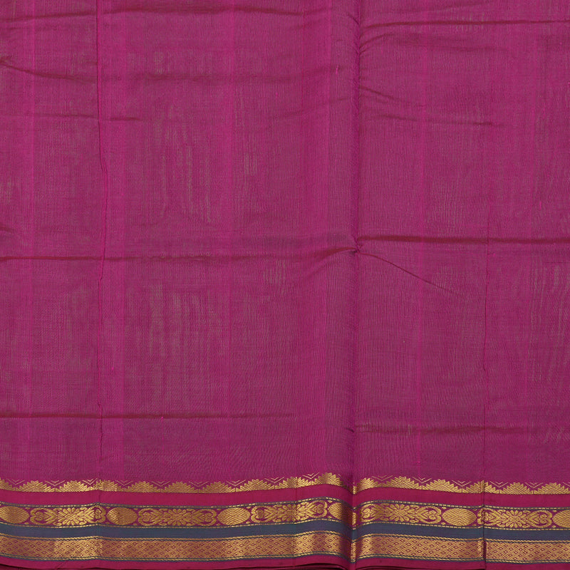 Hayagrivas Parrot Green Body - Pink Border BBD385F1-16