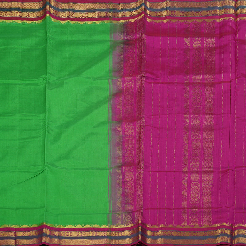 Hayagrivas Parrot Green Body - Pink Border BBD385F1-16