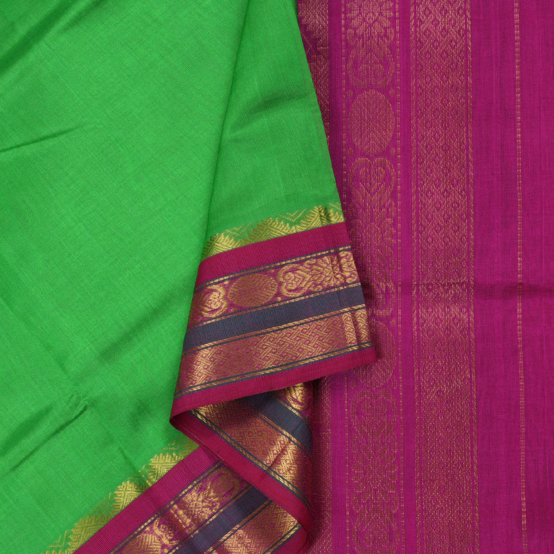 Hayagrivas Parrot Green Body - Pink Border BBD385F1-16