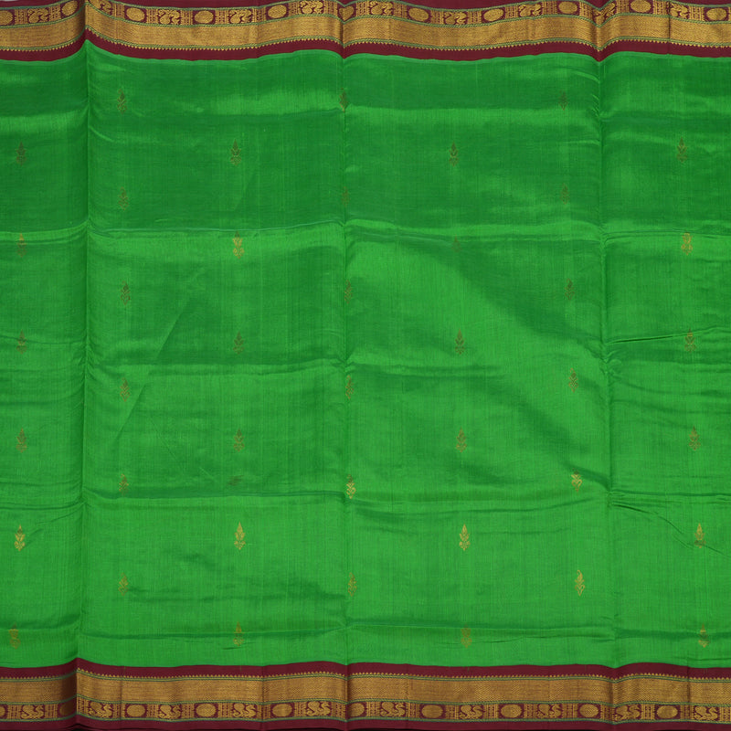 Hayagrivas Parrot Green Silk Cotton Saree with Brown Border HBE462H4-46
