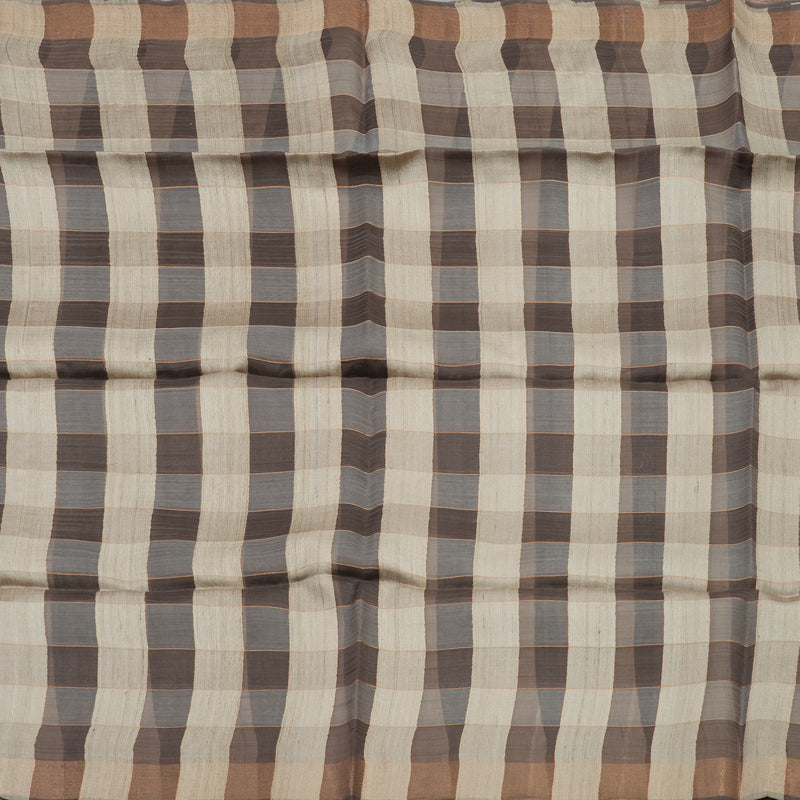 Hayagrivas Multicolour Checks with Borderless Pure Tussar Saree KBE1383J6-33