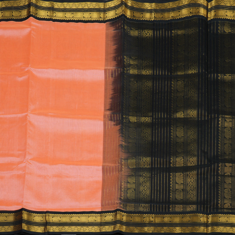 Hayagrivas Handloom Korvai Silk Cotton Saree KBE364E4-2