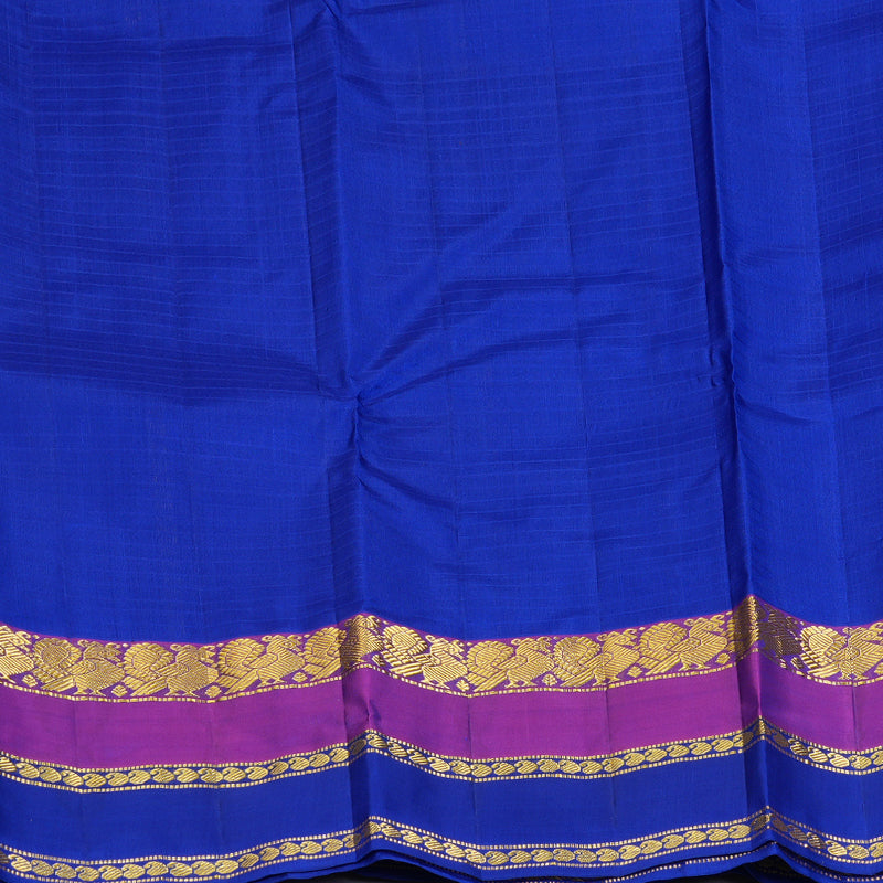 Hayagrivas Handloom Sky Blue Kanjivaram Silk Saree KBF206E1-49