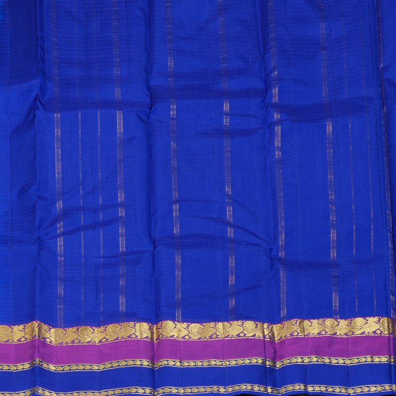 Hayagrivas Handloom Sky Blue Kanjivaram Silk Saree KBF206E1-49