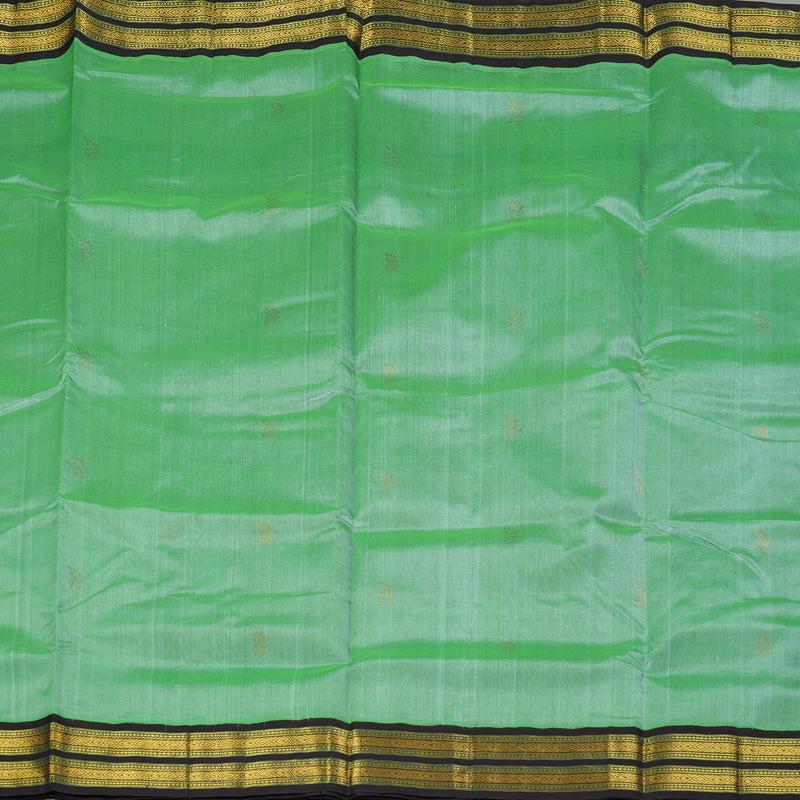 Hayagrivas Pista Green Pure Silk Cotton Saree SSCBF16D1-8