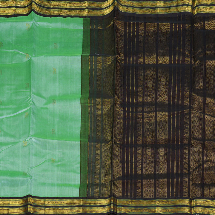 Hayagrivas Pista Green Pure Silk Cotton Saree SSCBF16D1-8