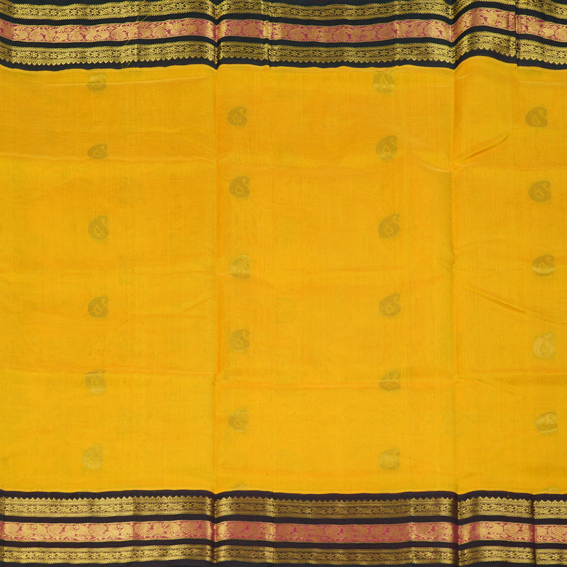 Hayagrivas Mango Yellow Pure Silk Cotton Saree SSCBF16D4-17