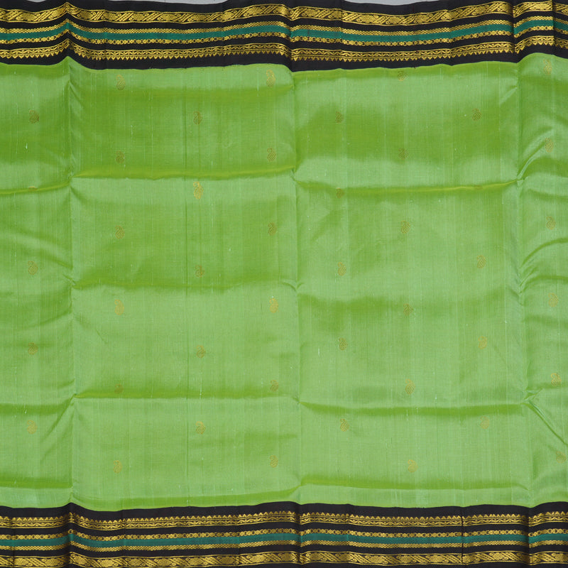 Hayagrivas Pista Green Pure Silk Cotton Saree SSCBF55E13-2