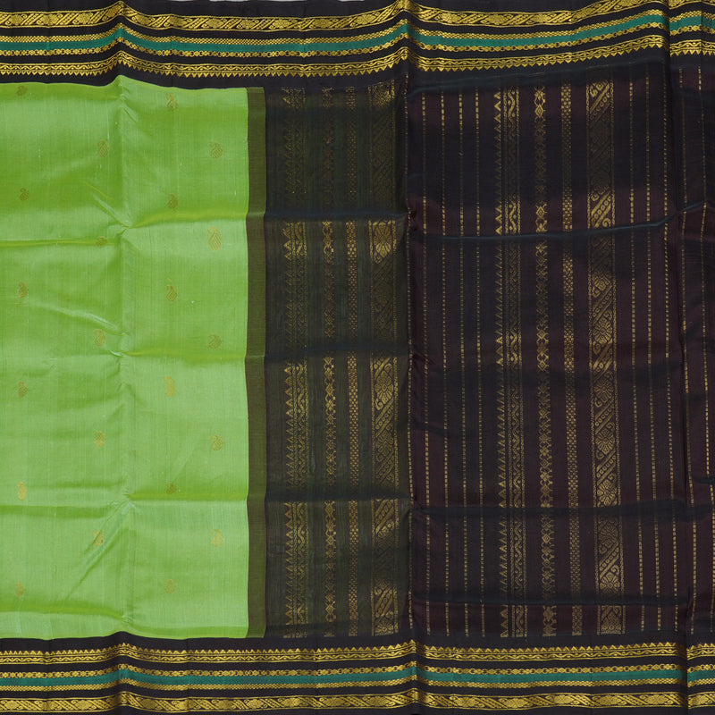 Hayagrivas Pista Green Pure Silk Cotton Saree SSCBF55E13-2