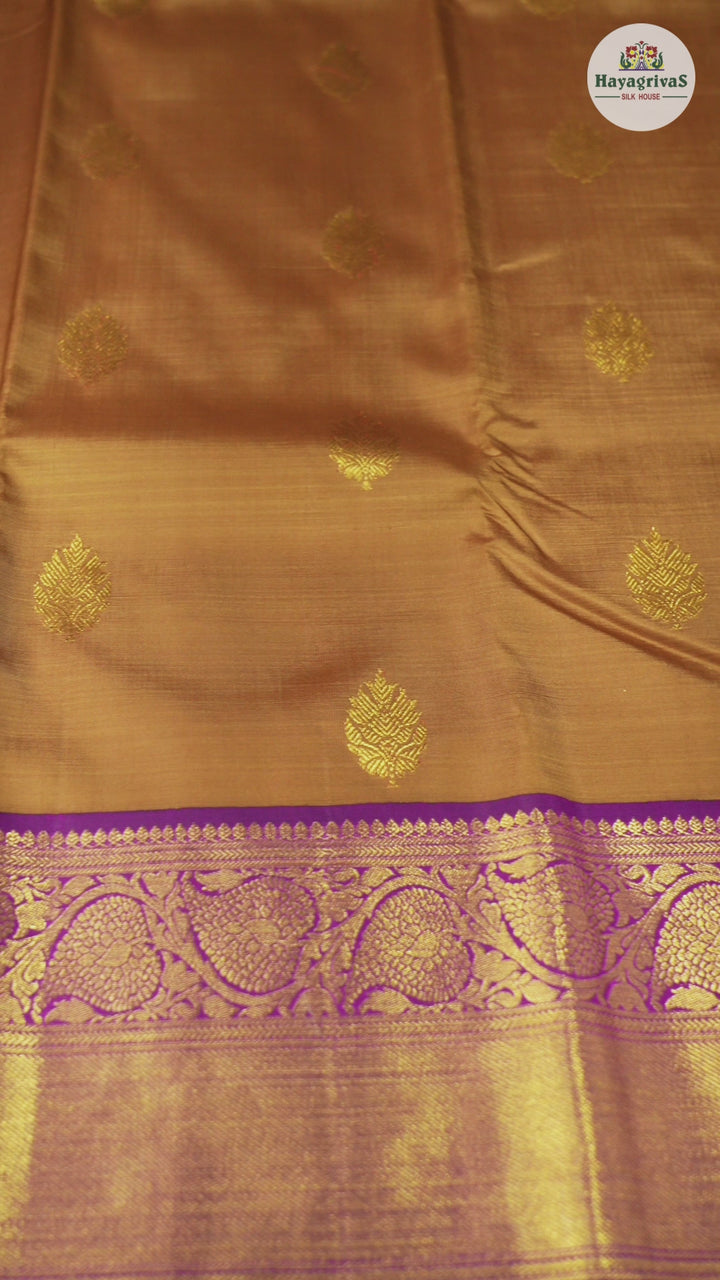 Hayagrivas Wheat Brown Handloom Kanjivaram Silk Saree with Purple Border BBD1547A12-3