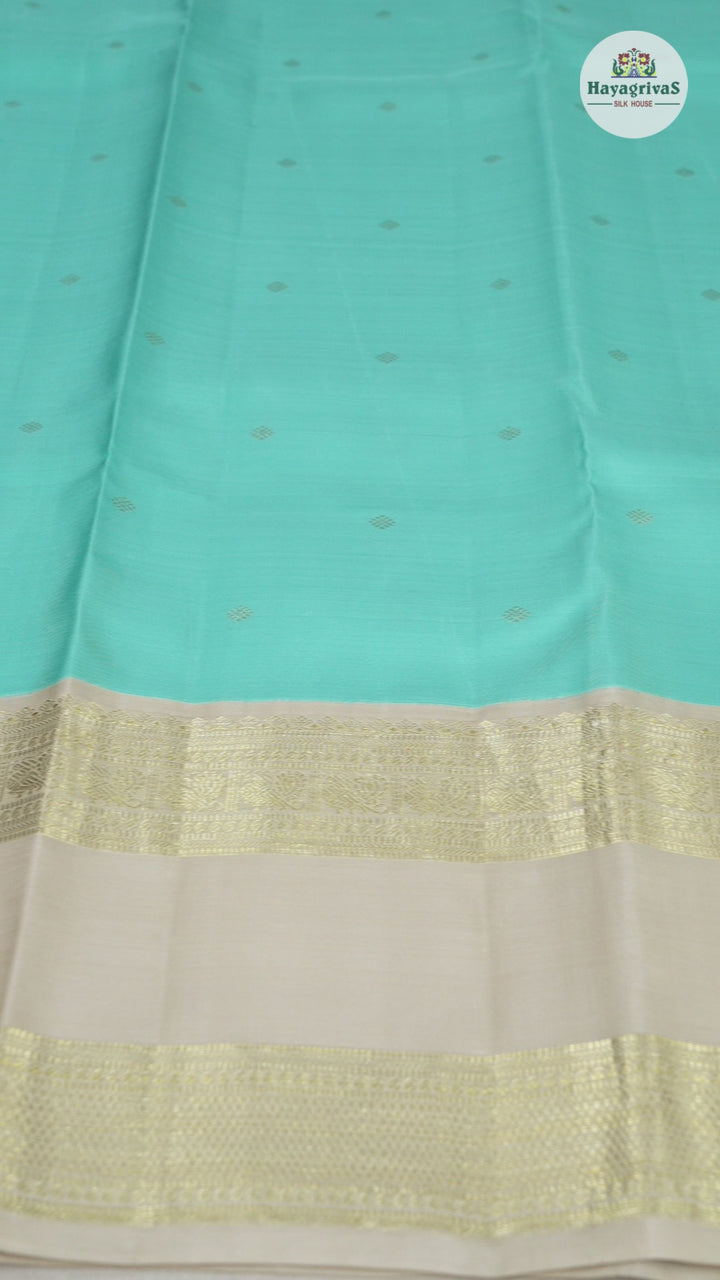 Hayagrivas Sky Blue Handloom Kanjivaram Silk Saree with Sandal Beige Border-BBD1460L9-1